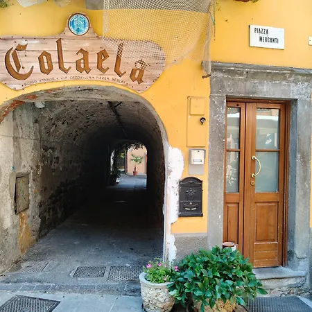Colaela